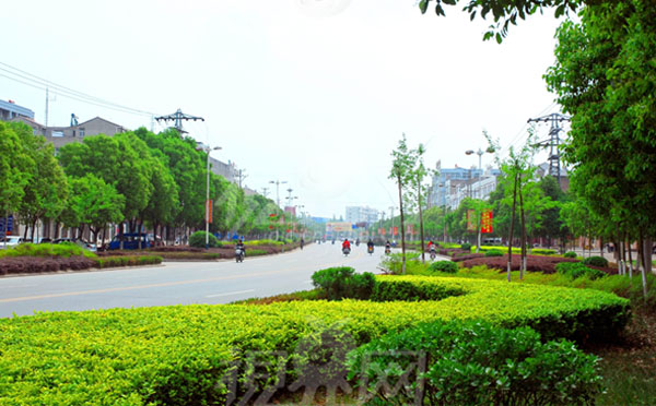 環(huán)保透水磚機廠家解密綠色街道的概念